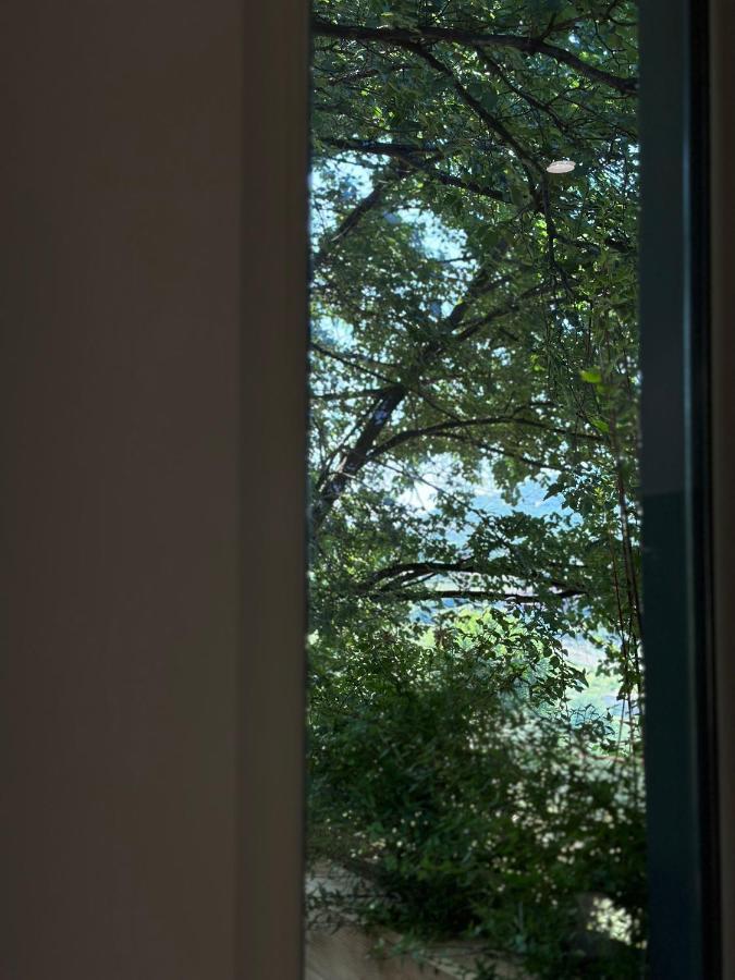 Hotel Restaurant Natyra E Qete Lezhë Eksteriør billede